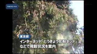 町田で観測　都内でスギ花粉の飛散開始　例年比6日早い