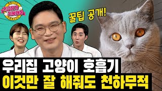 고양이 허피스? 엘라이신 효과? 우리 고양이 호흡기 천하무적 만드는 관리 꿀팁까지!