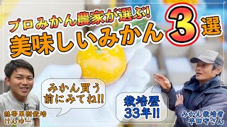 【みかんを買う前に見てね!】ガチの生産者が選ぶ！オススメみかん3選！【長崎県 平田守さん】