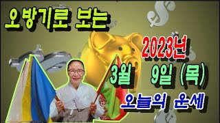 오방기로 보는2023년 3월 9일(목요일)  오늘의운세     \