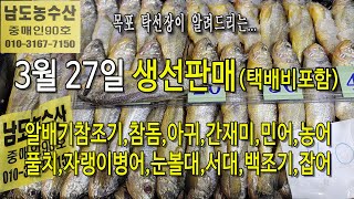 3월 27일(판매 생선), 160미 알배기 참조기, 풀치, 자랭이병어, 참돔, 아귀, 민어, 농어, 눈볼대, 간재미, 가오리 (목포 남도농수산 탁선장 010 3167 7150)