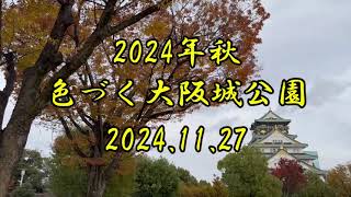 2024年秋 色づく大阪城公園　2024.11.27