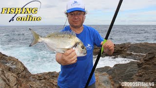 Rock Fishing in Greece - Pole Fishing from the Rocks (Απίκο στα Βράχια) - Part 3