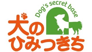 犬のしつけ＆ドッグホテル 犬のひみつきち紹介動画