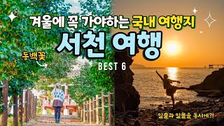 12월, 1월 겨울 국내여행 추천☃️ 국내 일출명소! 충남 서천 여행 가볼만한곳! 마량리 동백나무숲, 동백꽃 명소, 마량진항, 마량포구, 서천 맛집