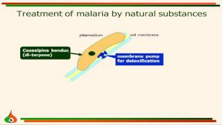 herbs-hi-tech - Malaria (English)