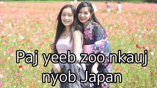 Nkauj hmoob Japan mus saib vaj paj yeeb zoo nkauj