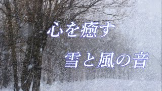 【騒音対策】心を癒す雪と風の音でリラックス｜ホワイノイズ