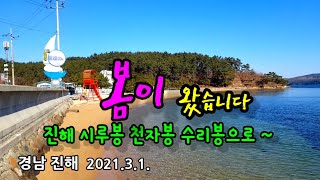 [경남 진해]#시루봉.수리봉.천자봉 2021.3.1.봄이 왔습니다