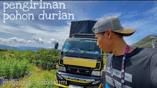 budi bodong trip magelang - sukabumi pengiriman pohon durian