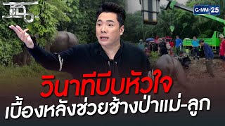 วินาทีบีบหัวใจ เบื้องหลังช่วยช้างป่าแม่-ลูก | HIGHLIGHT | แฉ 14 ก.ค. 65 | GMM25