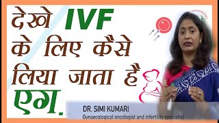 आईवीएफ के लिए कैसे लिया जाता है एग ?#Ovum Pick up Procedure#Dr.Simi Kumari ||