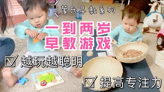 [早教游戏推荐]一岁到两岁宝宝玩什么|蒙氏早教游戏|提高专注力|越玩越聪明|puzzle|transfering|pouring|分月龄游戏建议|亲子互动游戏