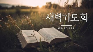 [새벽기도회] 250208 사랑과 역설 (요 11:1-16)