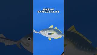 ファミリーフィッシングの最終兵器◯◯#釣り #fishing #anime #shorts