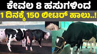 high yield milk cow in kannada I ಕೇವಲ 8 ಹಸುಗಳಿಂದ 1 ದಿನಕ್ಕೆ150 ಲೀಟರ್ ಹಾಲು..! dairyfarminginkarnataka