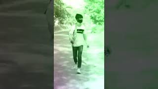 BEGAM BEGER BADSHAH KIS KAAM KA ||SLOW MOTION VIDEO