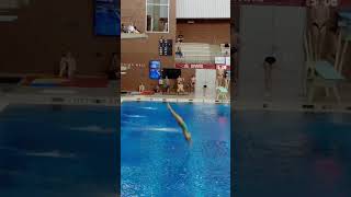 Amazing Diving 3Meter Springboard Dive 205c DD 2.8 - Regional Championship