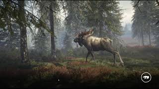 １６３５、theHunter: Call of the Wild™  / Epic Games