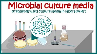 Bacterial culture media |classification and types of bacterial media | enriched