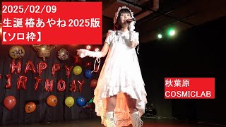 2025/02/09 生誕 椿あやね 2025版 【ソロ枠】 秋葉原 COSMICLAB amber rain. アンバーレイン アンバレ