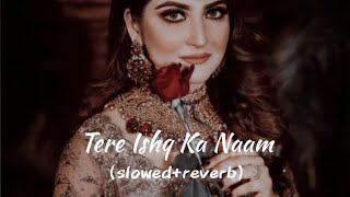 Tere Ishq Ke Naam full (slowed & reverb)Hiba Bukhari Usama Khan by ALI SLO-FI