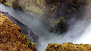 Huge Waterfall falling off a massive moss covered cliff called Skógafoss in Iceland