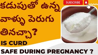 కడుపుతో ఉన్న వాళ్ళు పెరుగు తినచ్చా? Can We Eat Curd During Pregnancy ? Curd Is Safe During Pregnancy