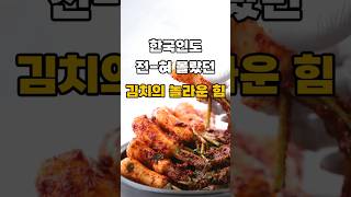 한국인이라면 알아야 할 김치의 놀라운 힘!