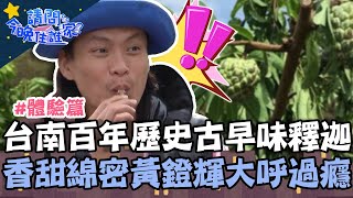 台南有釋迦！400年歷史傳承古早味   香甜綿密黃鐙輝大讚：超過癮！【請問 今晚住誰家】體驗篇 20220215 EP492 Part1 竇智孔 黃鐙輝