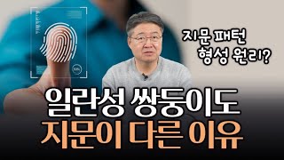 일란성 쌍둥이도 지문이 다른 이유? 지문 패턴이 다양하게 형성될 수 있는 원리?