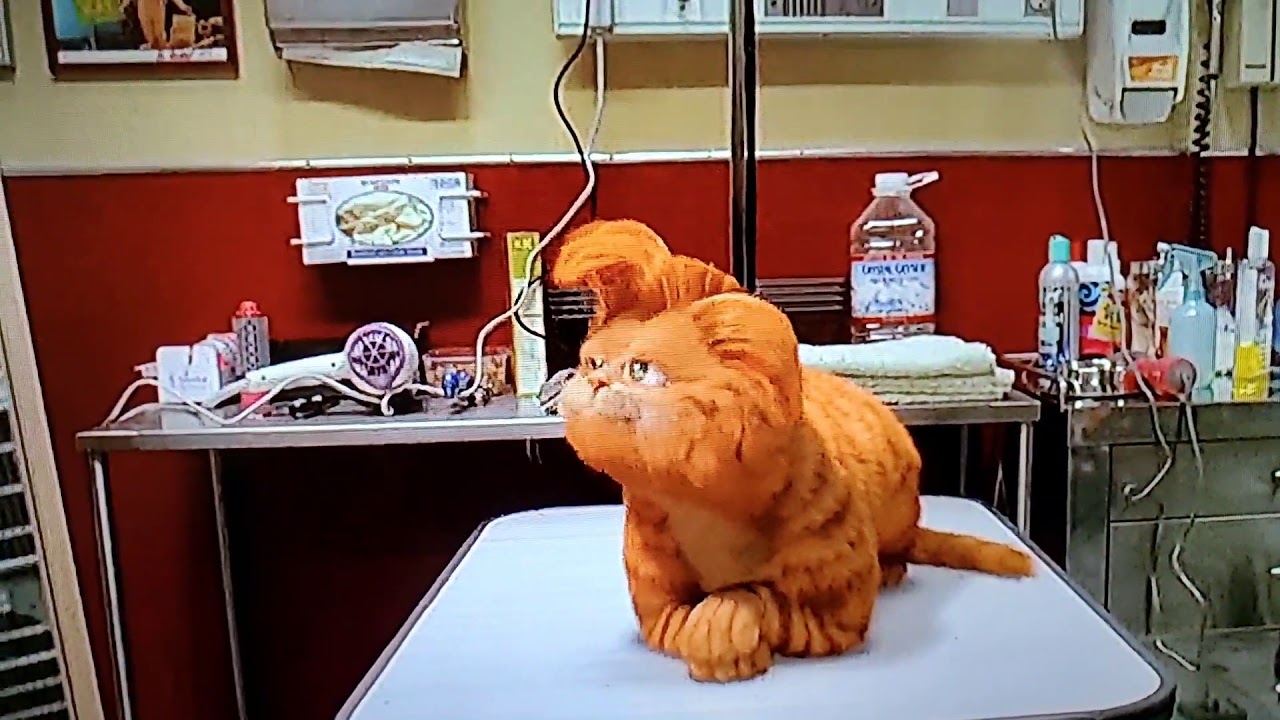 Garfield The Movie Vet Scene Youtube