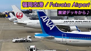 ［4K］福岡空港 新展望デッキ Fukuoka Airport FUK / 2020.10.19.MON / 飛行機 離着陸 動画 / iPhone11 Pro MAX 撮影