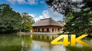 Yubikan - Miyagi - 有備館 - 4K Ultra HD