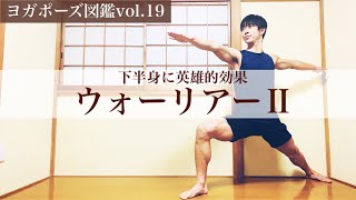 【ヨガポーズ図鑑vol.19：ウォーリアー2】全身をうまく使うためのポイント