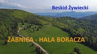 Hala Boracza czarnym szlakiem z Żabnicy maj 2023 Beskid Żywiecki