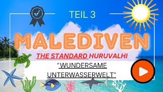 Die Malediven Teil 3 | Wilde Blaue Ozeane