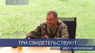 2024.08.11 «ТРИ СВИДЕТЕЛЬСТВУЮТ» – Анатолий Склонный