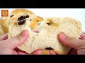 soft and fluffy raisin bread easy recipe