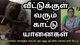 வனவிலங்கு மனித மோதல் | அன்றாட நிகழ்வுகளை  வாட்ஸ் அப்பில் கலக்கும் தடம் கோவை குழு - பேட்டி #elephant