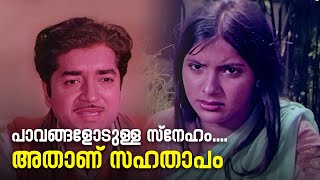 പാവങ്ങളോടുള്ള സ്നേഹം....അതാണ് സഹതാപം | Panitheeratha Veedu | Prem Nazeer Movie