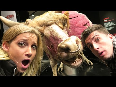 THAT'S SOME SCARY BULL SHH! Funny Video