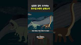 몸 길이 30m, 흰수염 고래 실제 울음소리 ㄷㄷㄷ