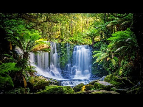 How is biology related to ecology?