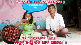 ମୁଁ ଆଉ ରୋଷେଇ କରିବି ନାହିଁ । ବାପାଙ୍କୁ ରାଣୀ ର ତରକାରୀ ଭଲ ଲାଗିଲା ॥