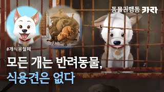 모든 개는 반려동물, 식용견은 없다