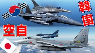 大韓民国空軍VS航空自衛隊【DCSWorld】