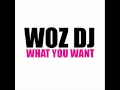 Mase Feat Total - What You Want (Woz DJ Bassline Mix)