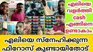 Rat farm in Kerala| Hamster in kerala|എലി business നടത്തി cash ഉണ്ടാകാം||Mice farm||Mouse Business