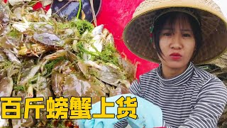 阿渔妹赶海合集！这季节海货实在太泛滥，阿渔妹抓满一大筐，卖货的时候都称不起来【阿渔妹】